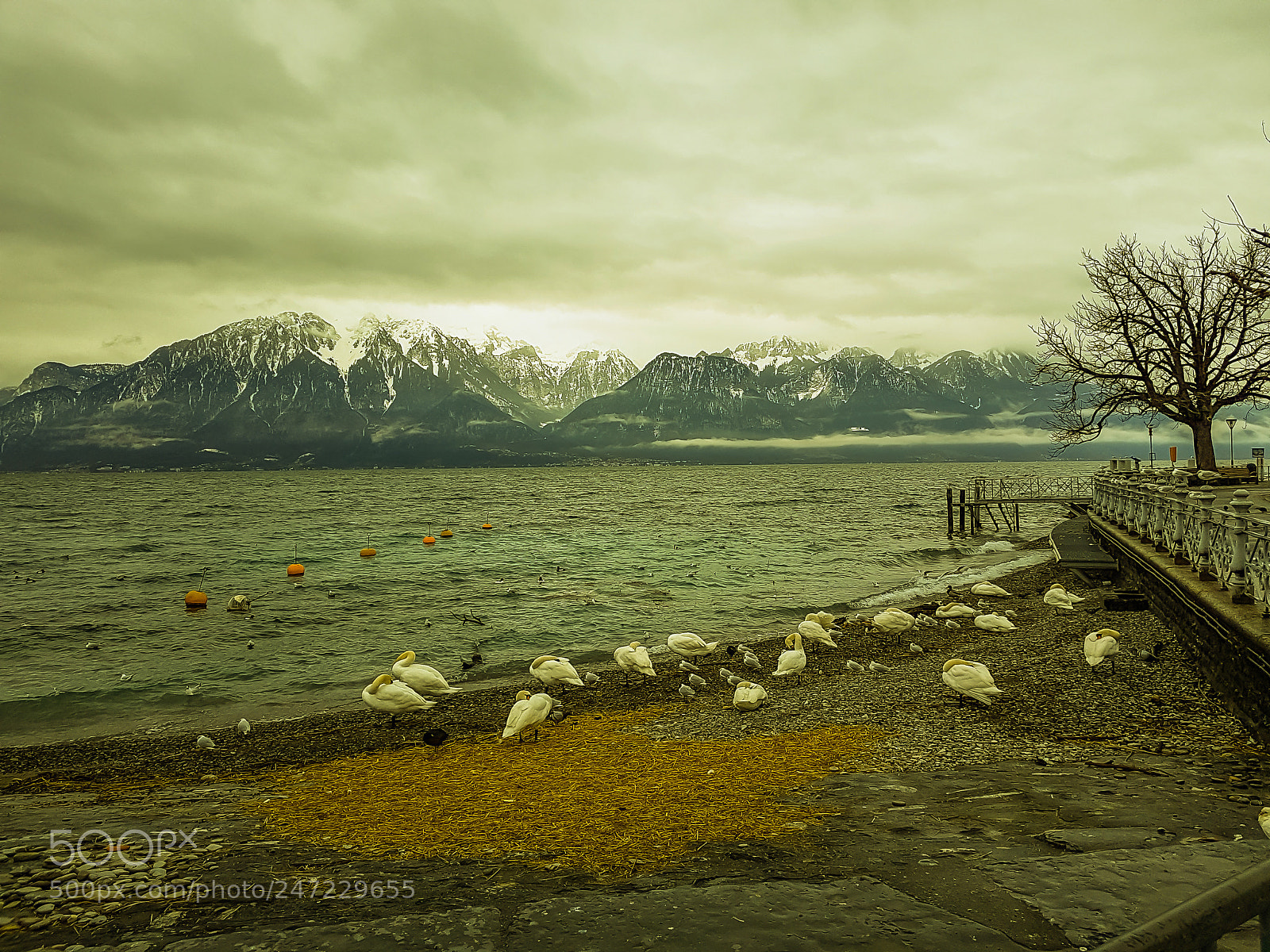 Samsung Galaxy S7 Edge sample photo. Lac l man vevey photography