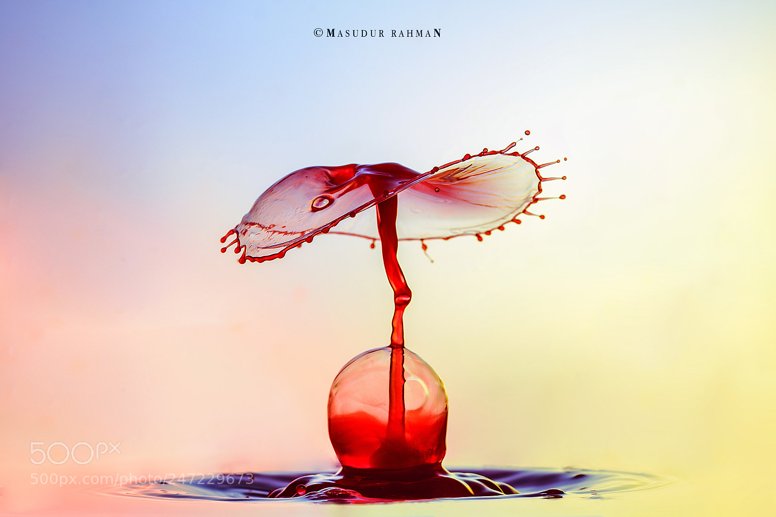 Nikon D810 sample photo. Art of liquid - 35 photography