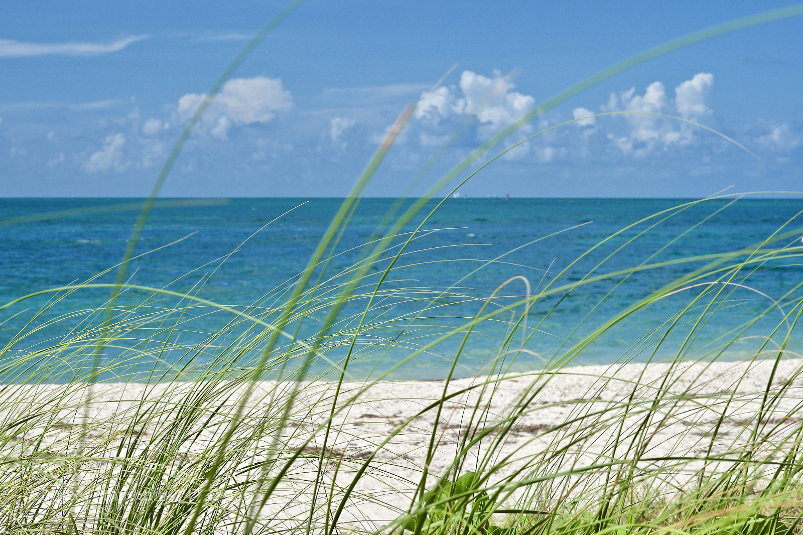 Olympus OM-D E-M1 Mark II sample photo. Key west photography