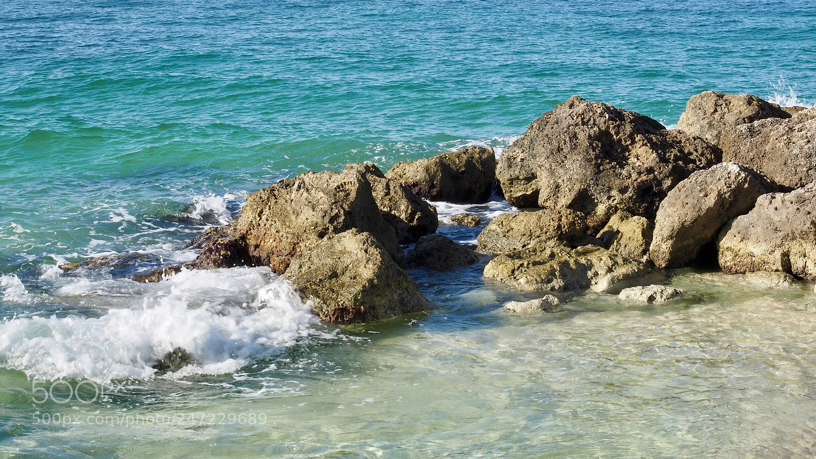 Olympus OM-D E-M10 sample photo. Key west photography