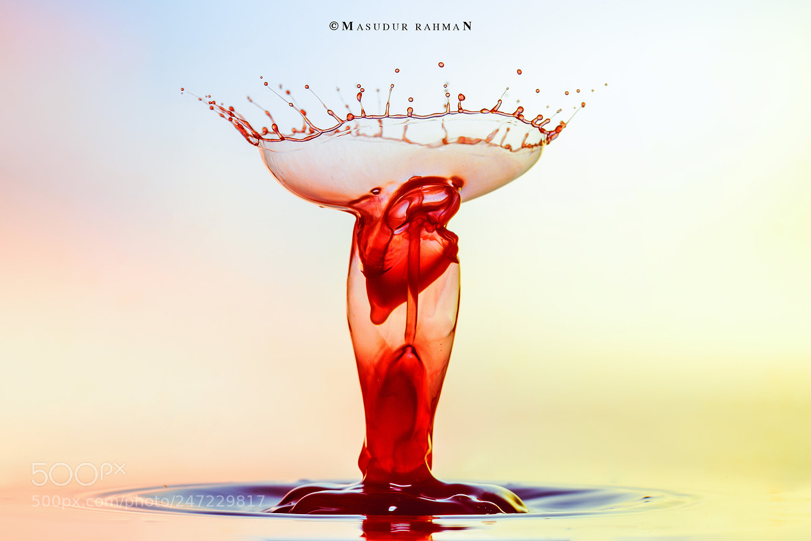 Nikon D810 sample photo. Art of liquid - 36 photography