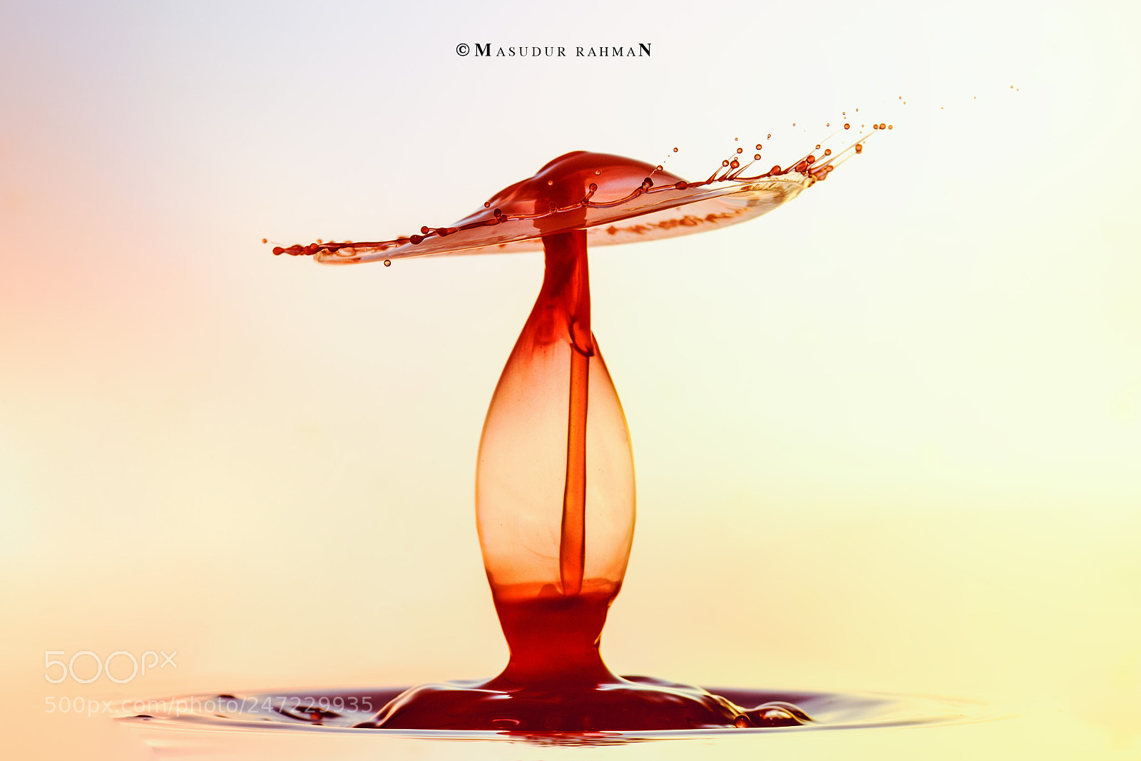 Nikon D810 sample photo. Art of liquid -37. photography