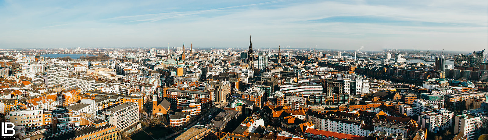 Canon EOS-1D X sample photo. Hamburg from above photography