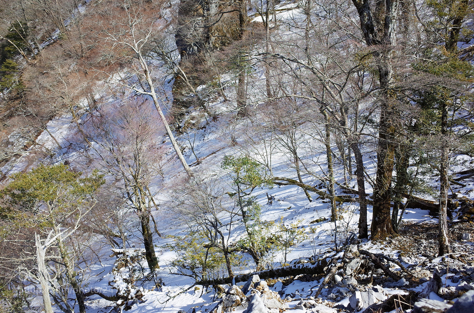 Ricoh GR sample photo. 岩宇土山の雪景色 photography