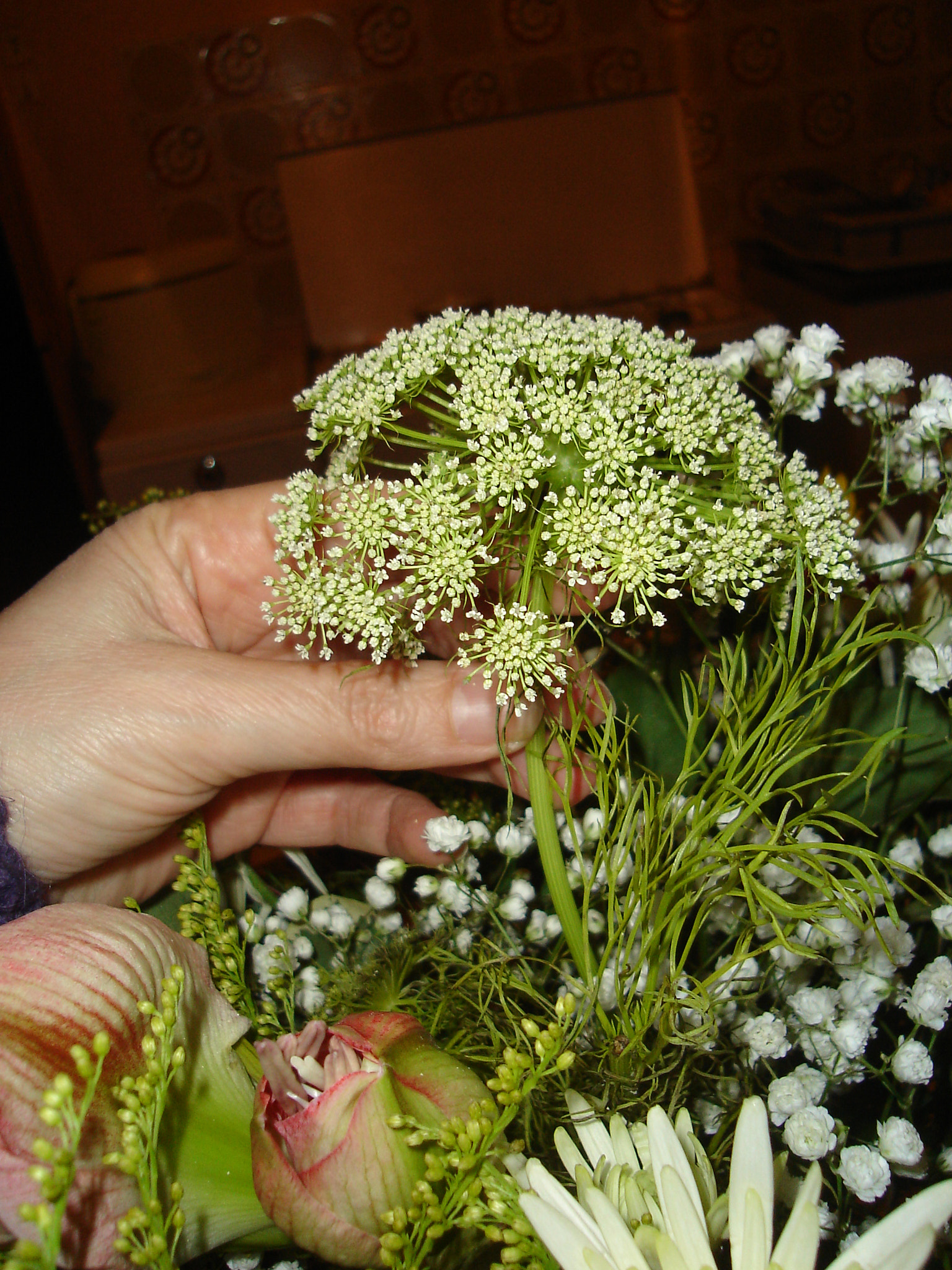 Sony DSC-L1 sample photo. Flowers photography