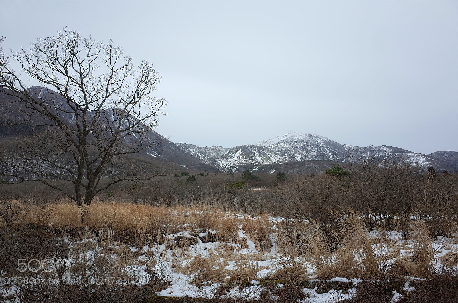 Ricoh GR sample photo. 長者原から雪の星生山 photography