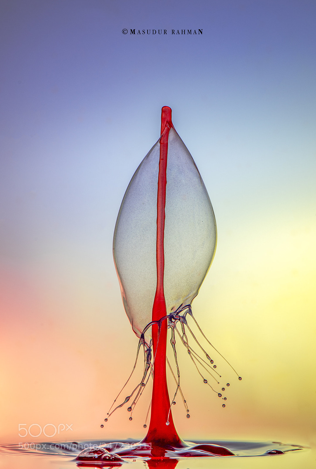 Nikon D810 sample photo. Art of liquid -39. photography