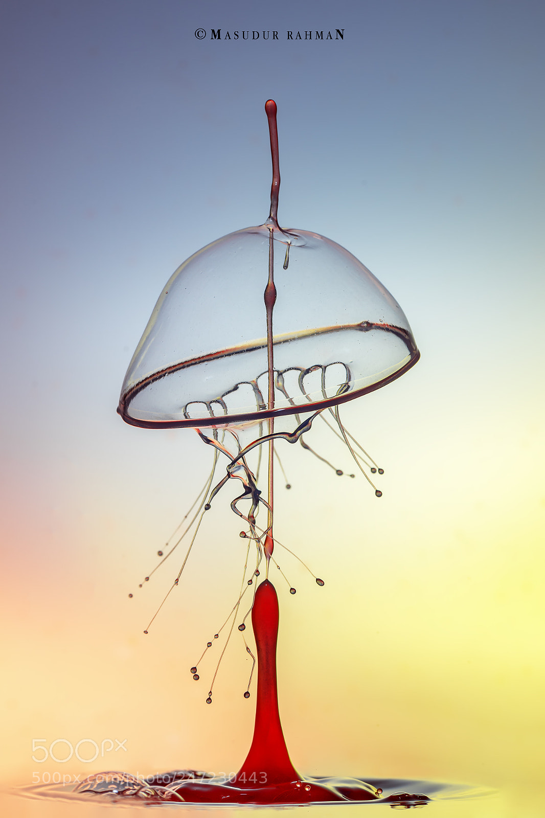 Nikon D810 sample photo. Art of liquid -40. photography