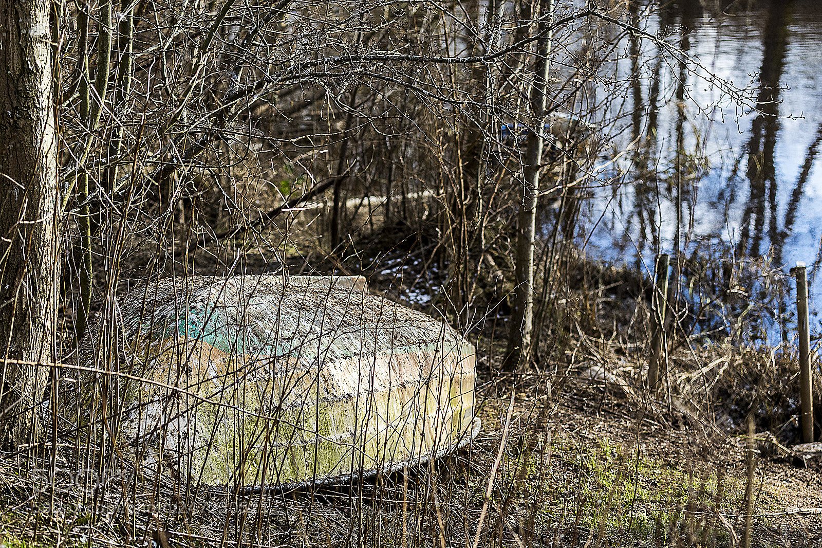 Canon EOS 7D Mark II sample photo. Waiting for springtime photography