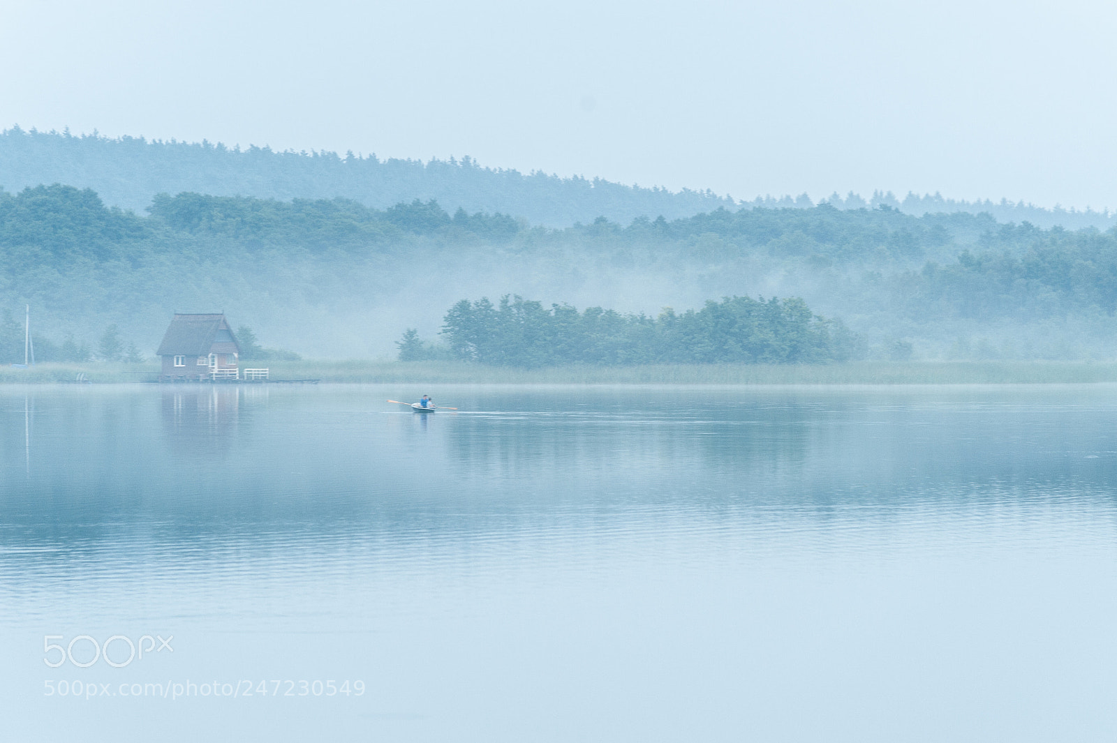 Nikon D700 sample photo. Nebel am g strower photography