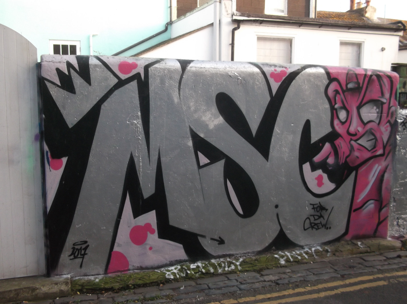 Fujifilm FinePix JV250 sample photo. Silver crowned msc graffiti (trafalgar lane brighton) photography