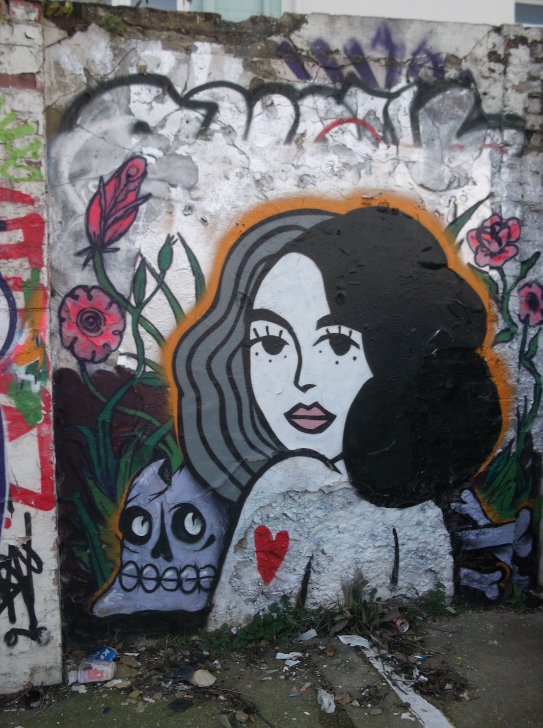 Fujifilm FinePix JV250 sample photo. Love girl with skull (graffiti trafalgar lane brighton) photography