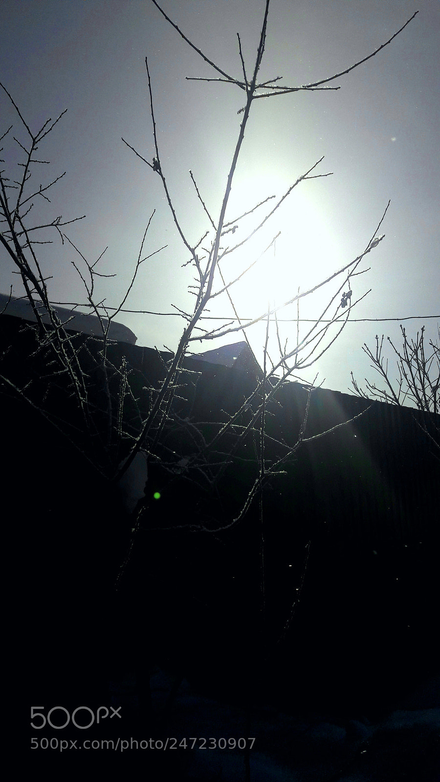 Samsung Galaxy A5(2016) sample photo. Untitled photography