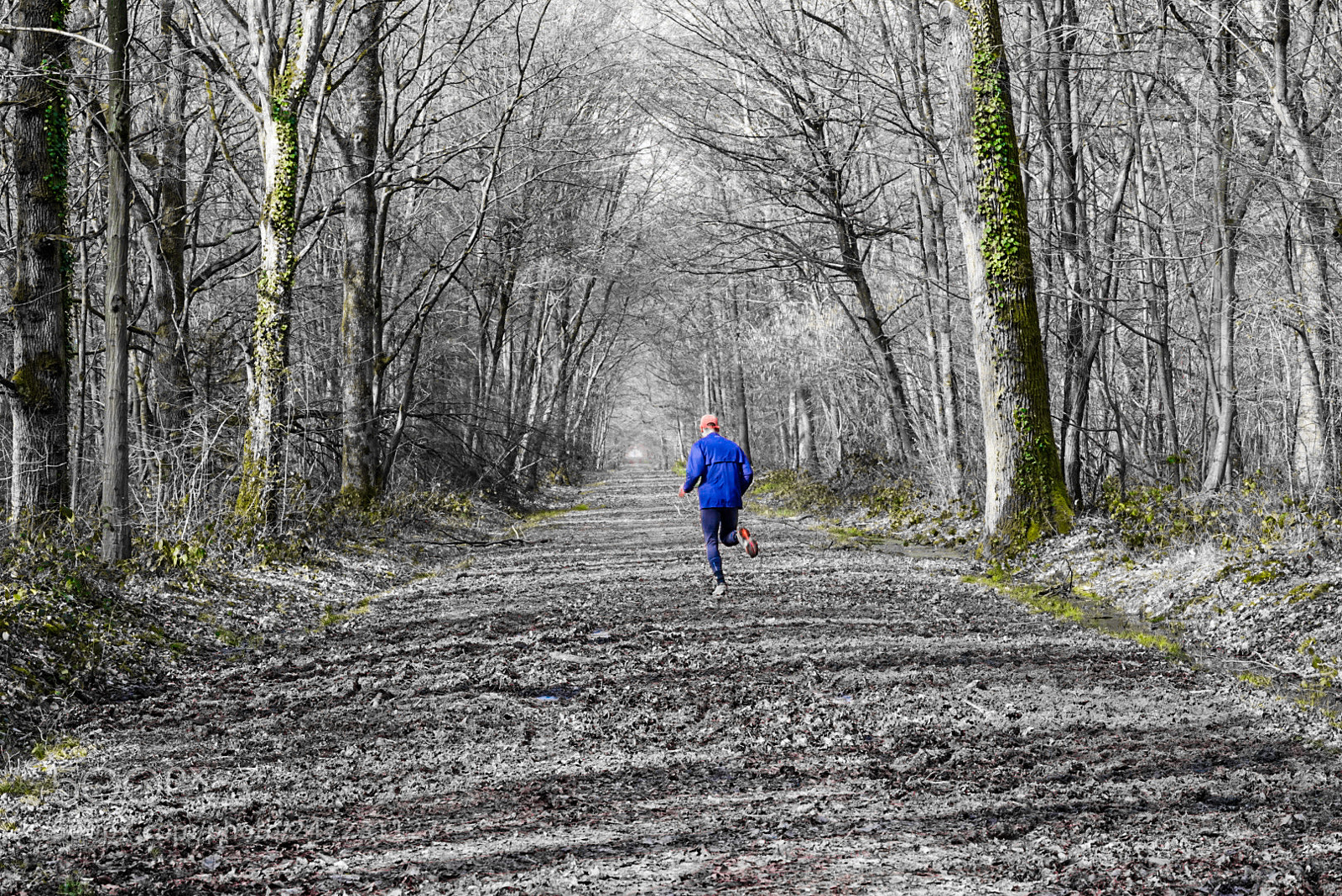 Sony a7 sample photo. Saturday jogging in the photography