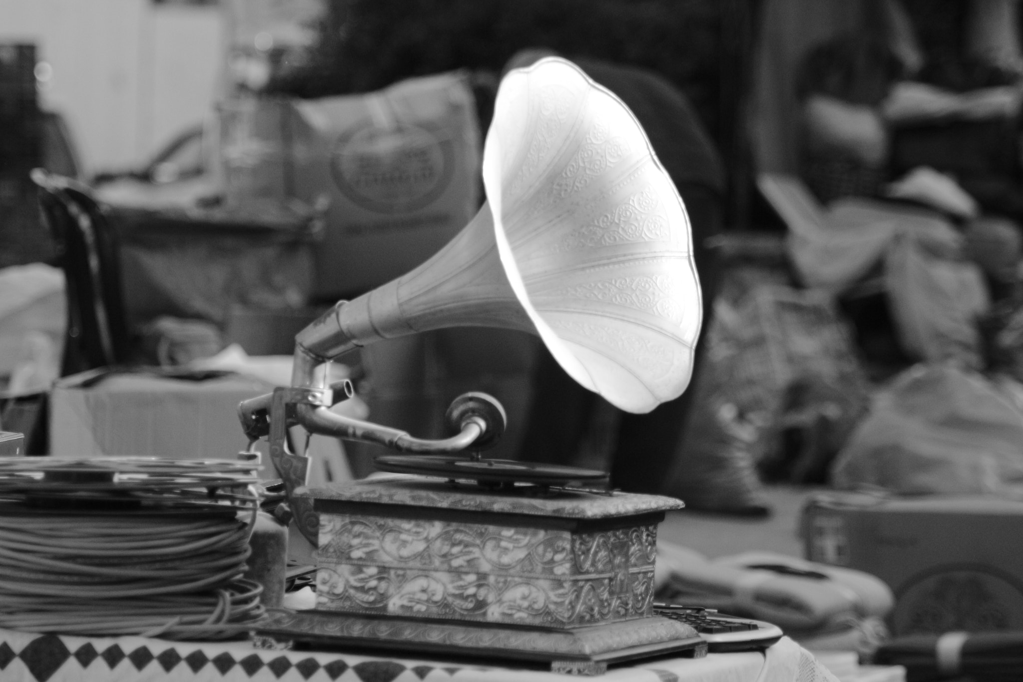 Canon EOS 700D (EOS Rebel T5i / EOS Kiss X7i) sample photo. Music photography