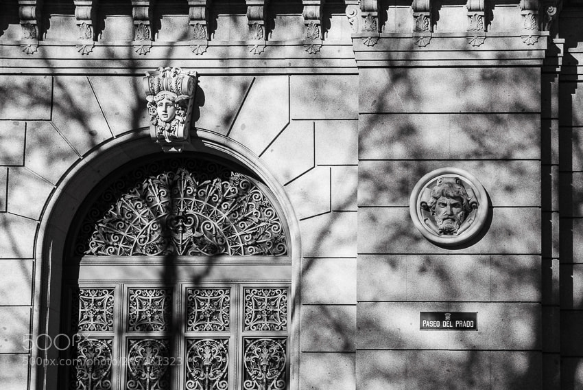 Panasonic Lumix DMC-LX100 sample photo. Paseo del prado photography