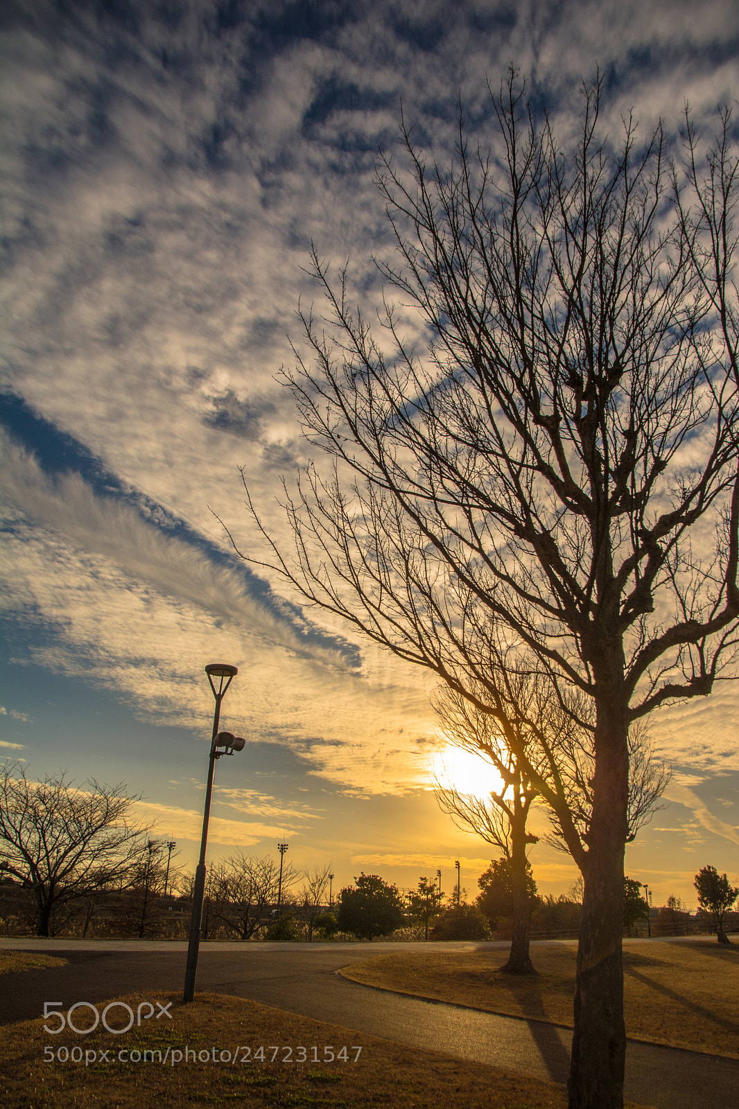 Nikon D7100 sample photo. Sunset of a winterday photography