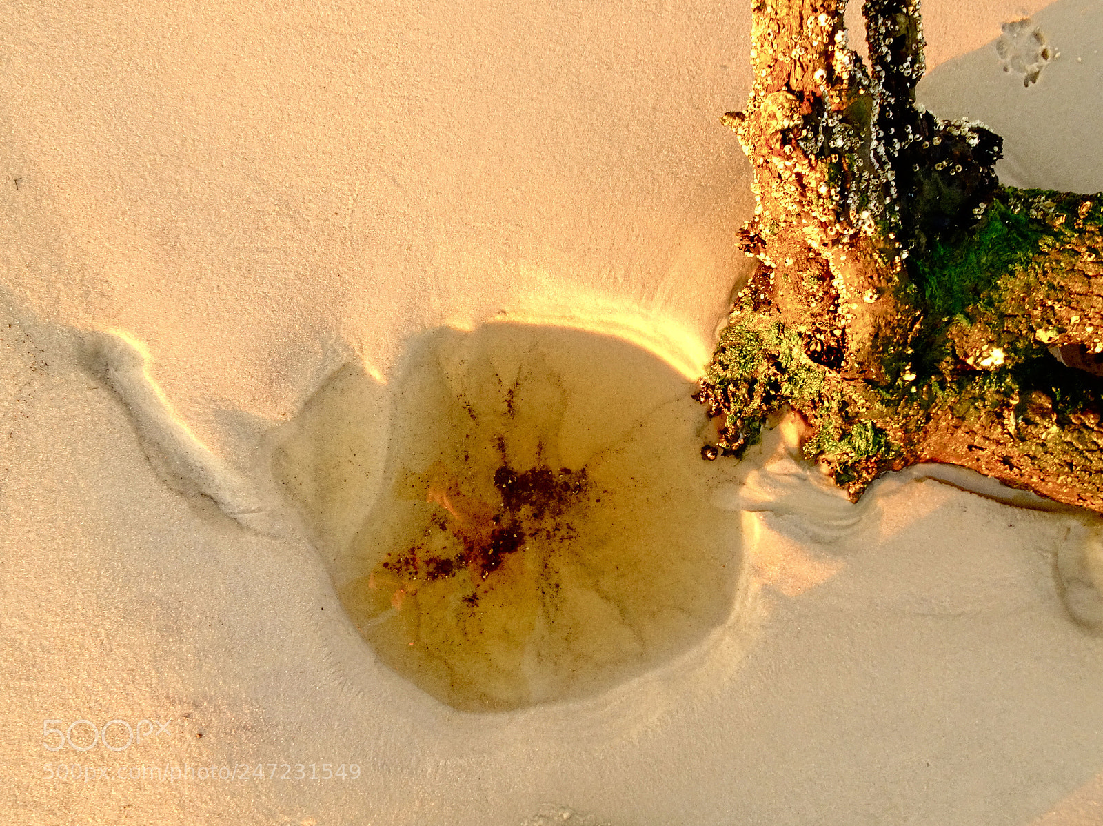 Sony Cyber-shot DSC-HX90V sample photo. Beach scene of interest photography