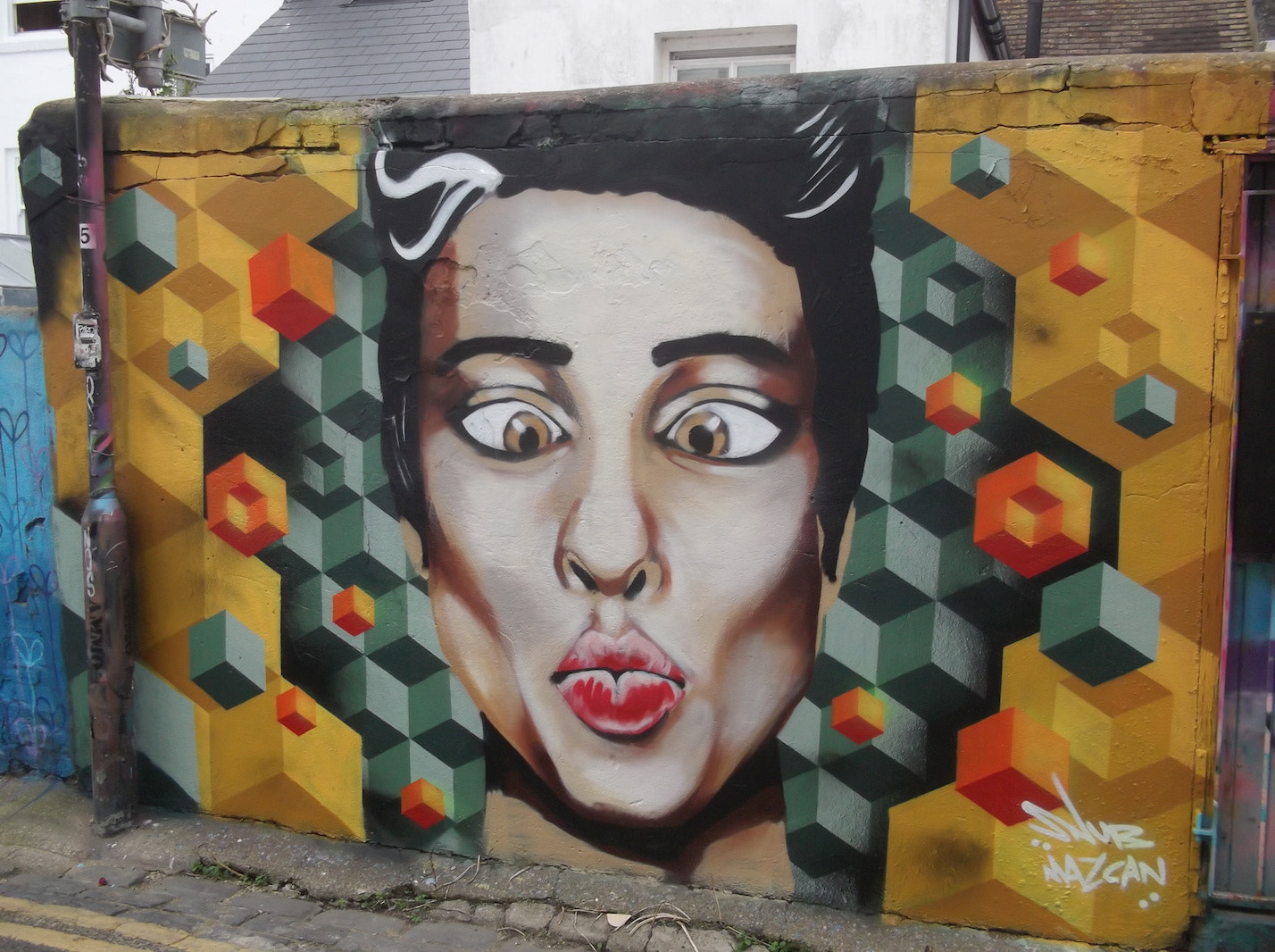 Fujifilm FinePix JV250 sample photo. Pursed lips graffiti (trafalgar lane brighton) photography