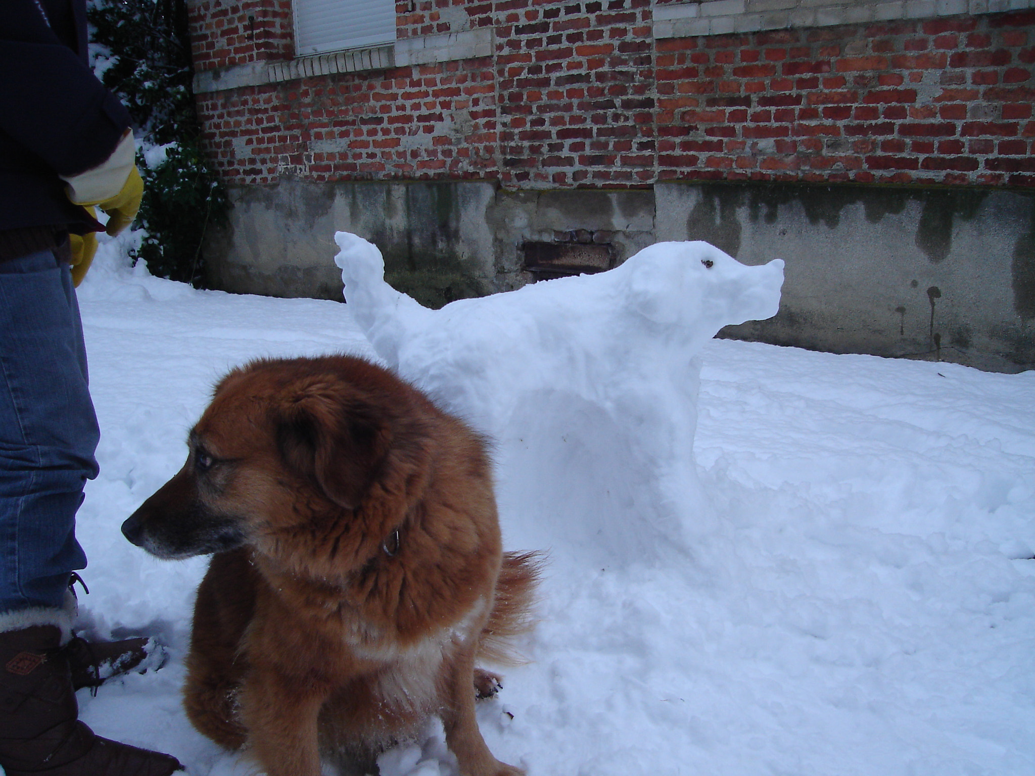 Sony DSC-L1 sample photo. Hot dog and snow dog photography