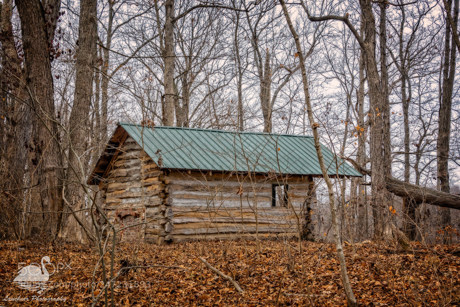Nikon D5200 sample photo. Cabin in the woods photography