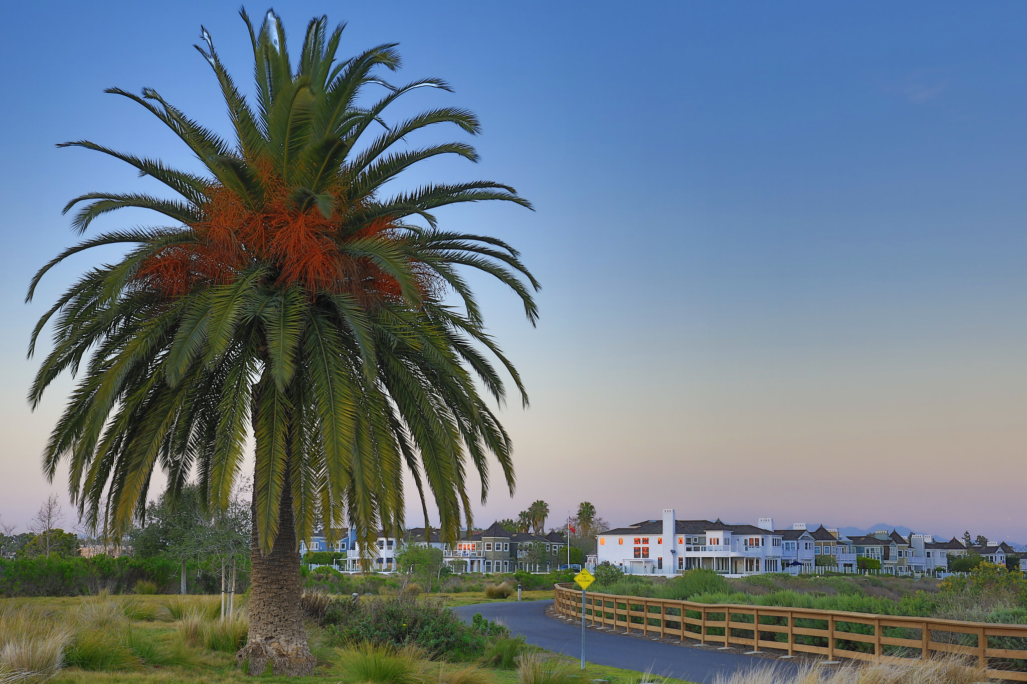Canon EF 24-70mm F4L IS USM sample photo. Newport photography