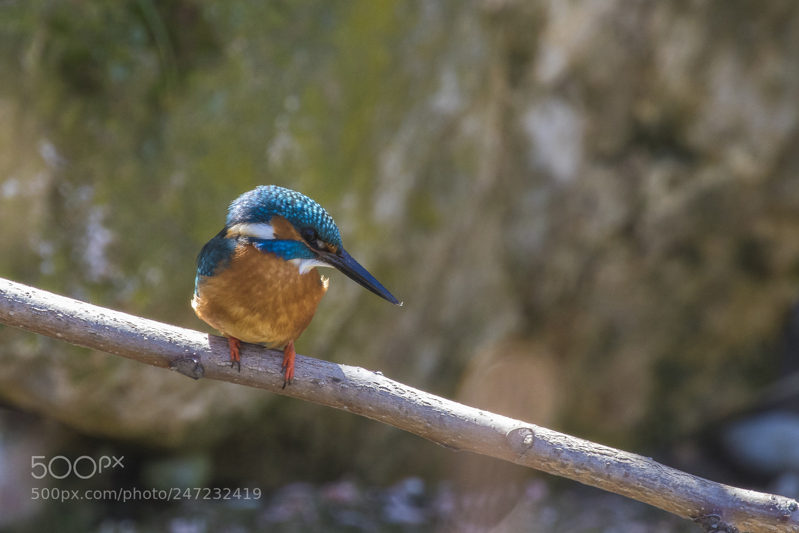 Canon EOS 7D Mark II sample photo. Focus on the water photography