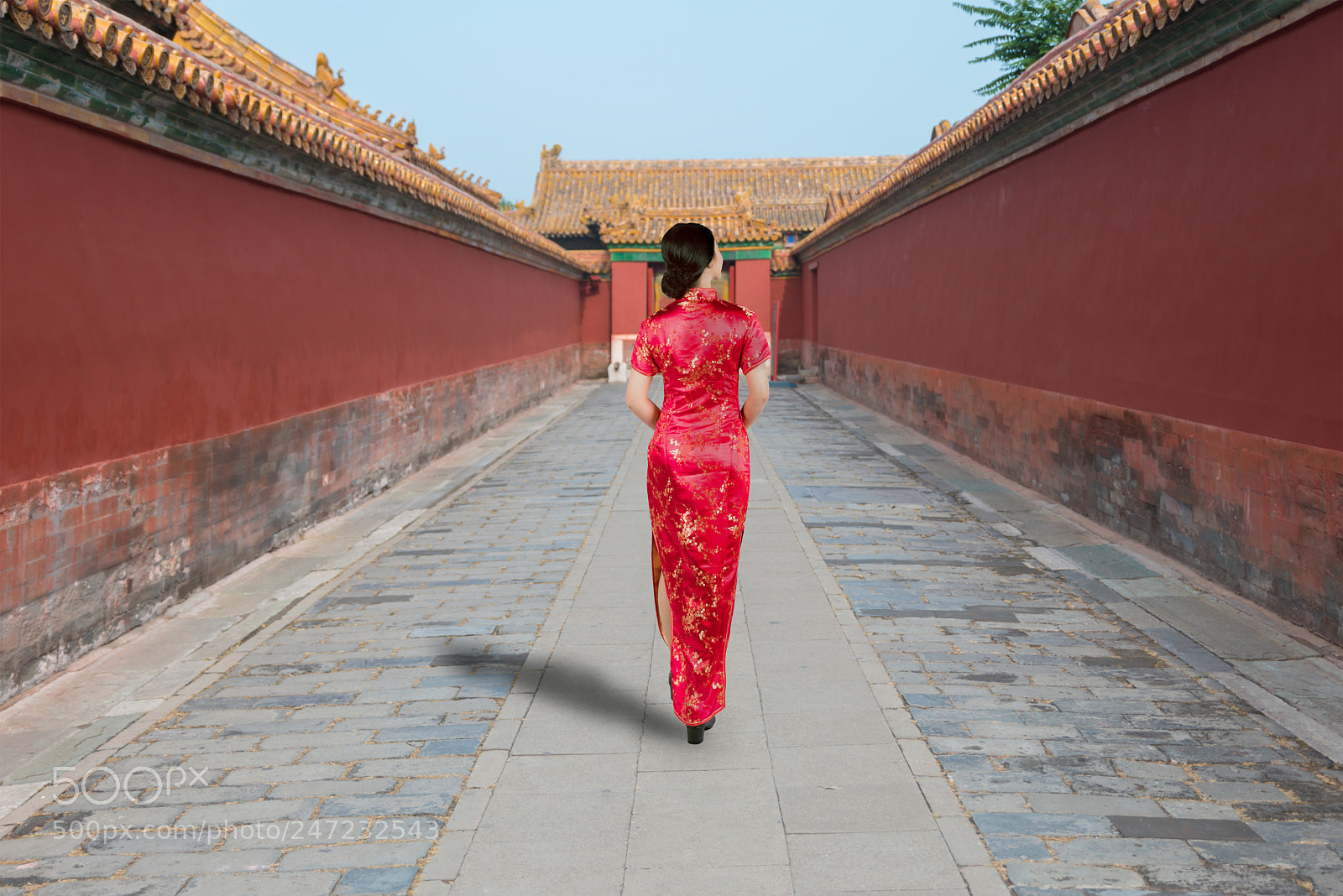 Nikon D800 sample photo. Asian young woman in photography