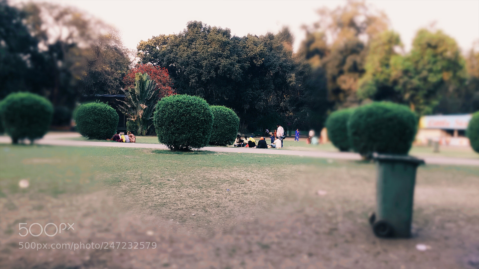 Apple iPhone 6 sample photo. Untitled photography