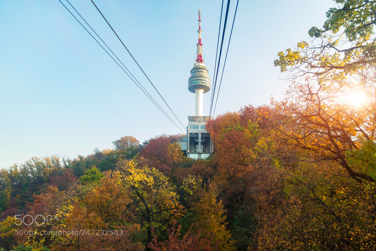 Nikon D800 sample photo. Namsan n seoul tower photography