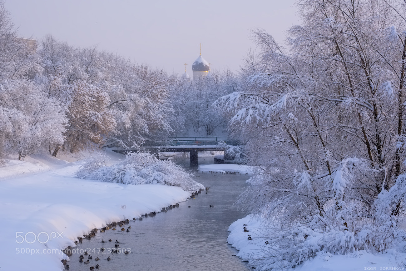 Fujifilm X-T20 sample photo. Winter morning in the photography