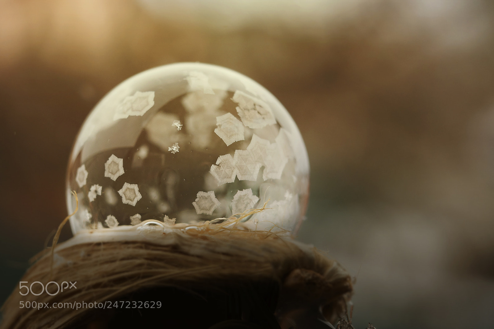 Nikon D7100 sample photo. Frozen bubble photography