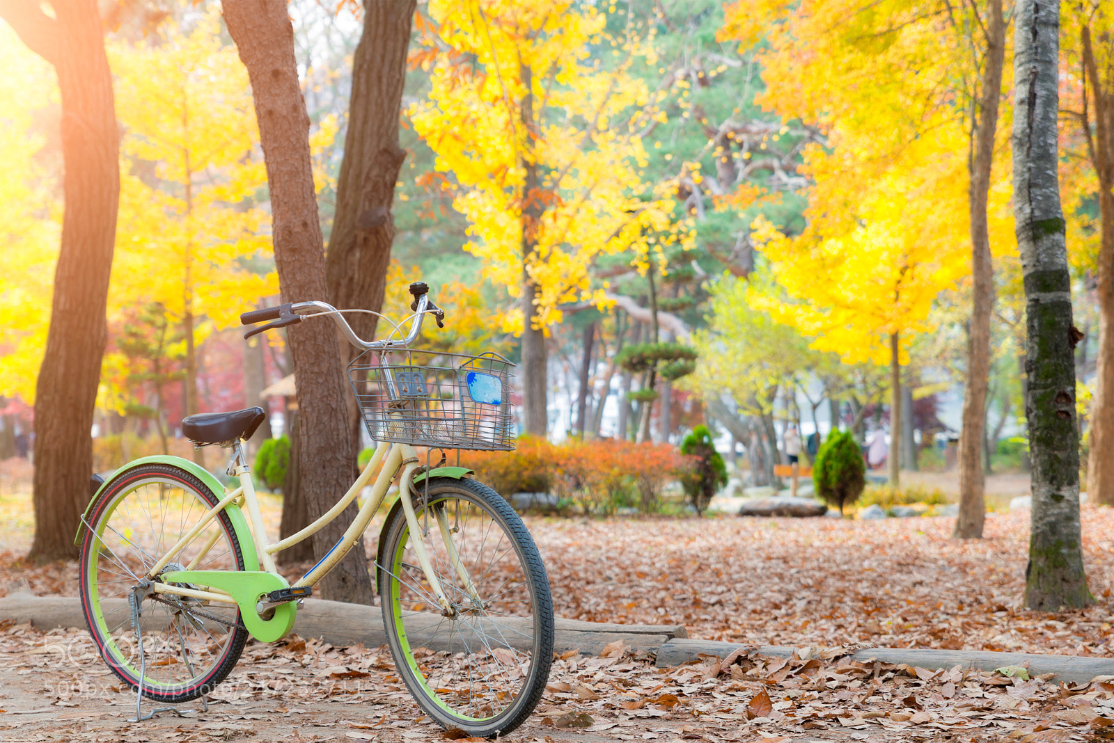 Nikon D800 sample photo. Vintage bicycle parking in photography