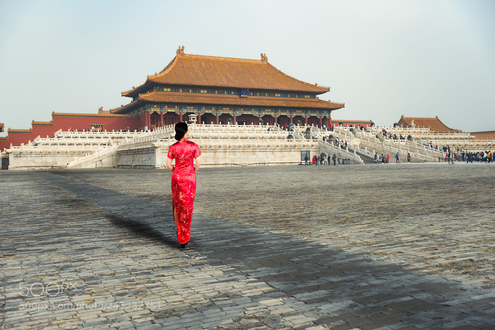 Nikon D800 sample photo. Asian young woman in photography