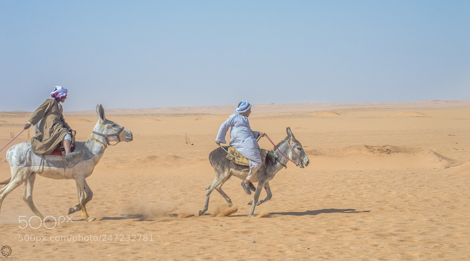 Nikon D3200 sample photo. Donkey race photography