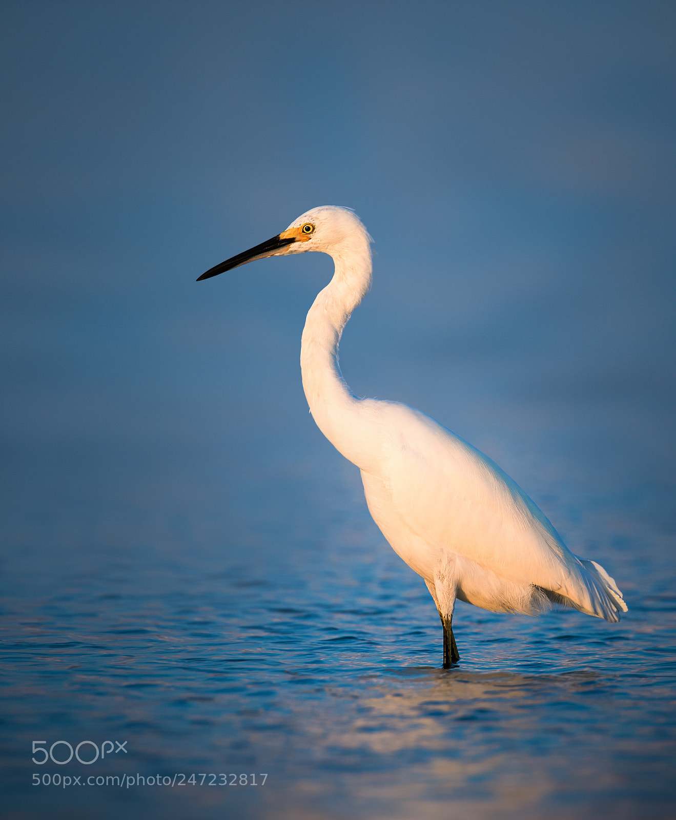 Canon EOS 7D Mark II sample photo. Last light photography