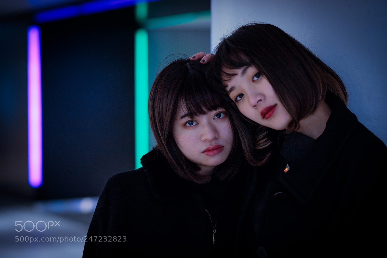 Canon EOS 6D Mark II sample photo. Untitled photography