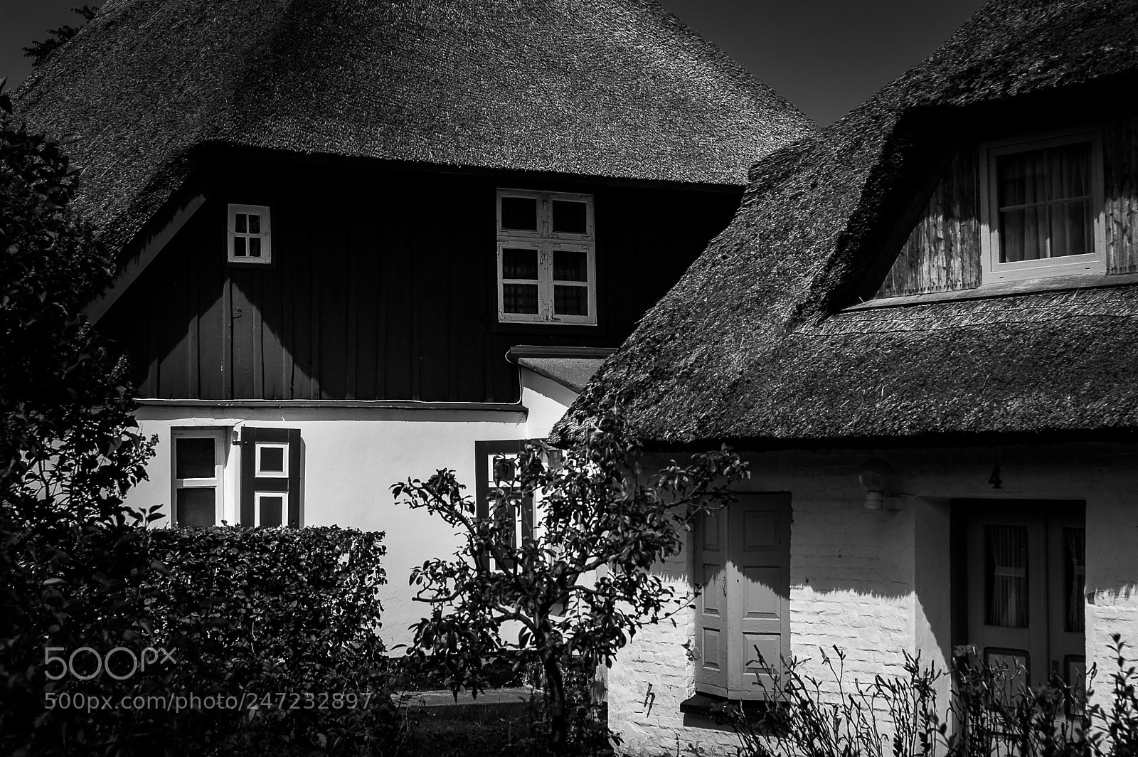 Nikon D70 sample photo. Reetgedeckte h user im photography