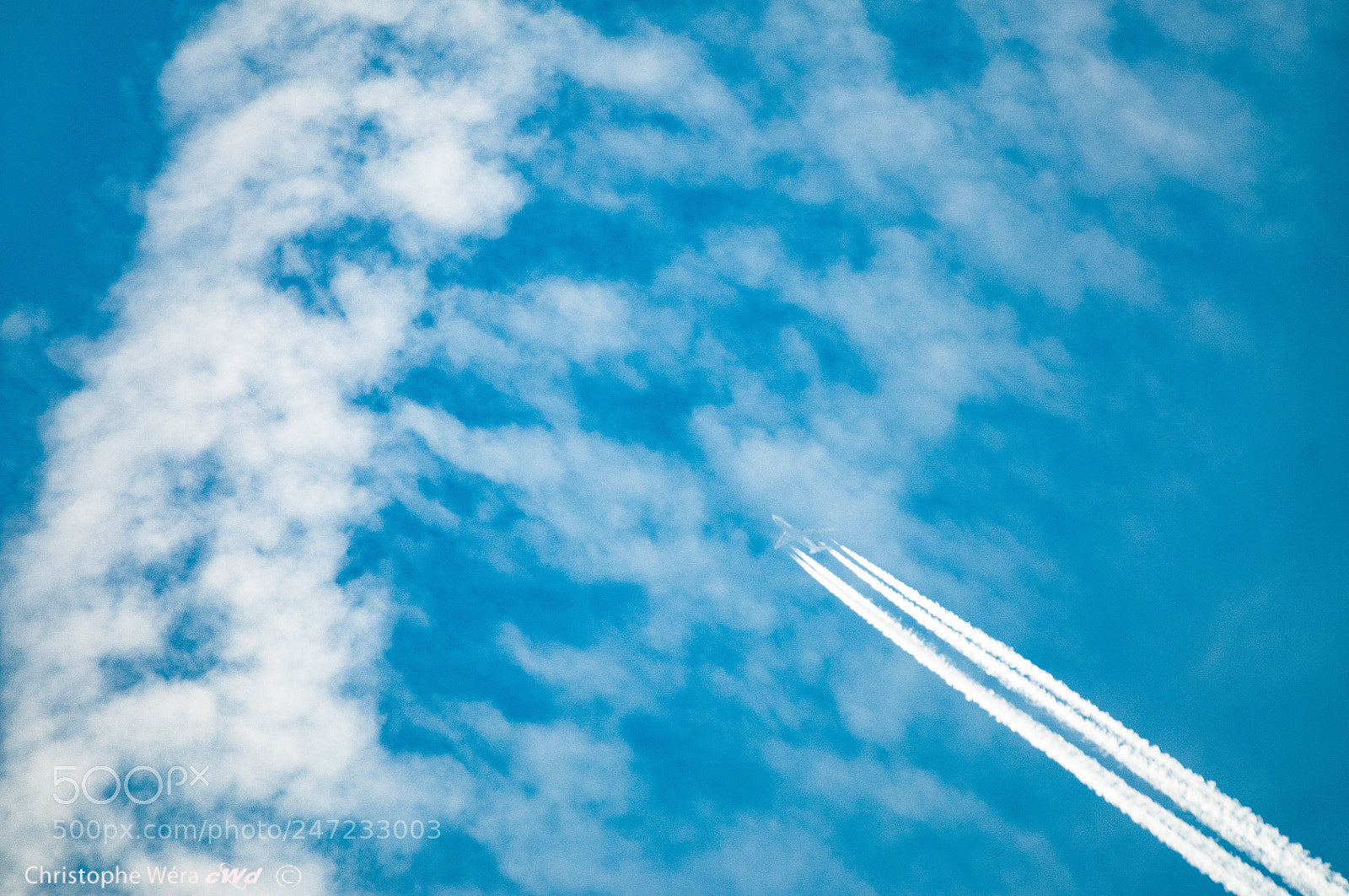 Nikon D300 sample photo. "blue sky and wings" photography