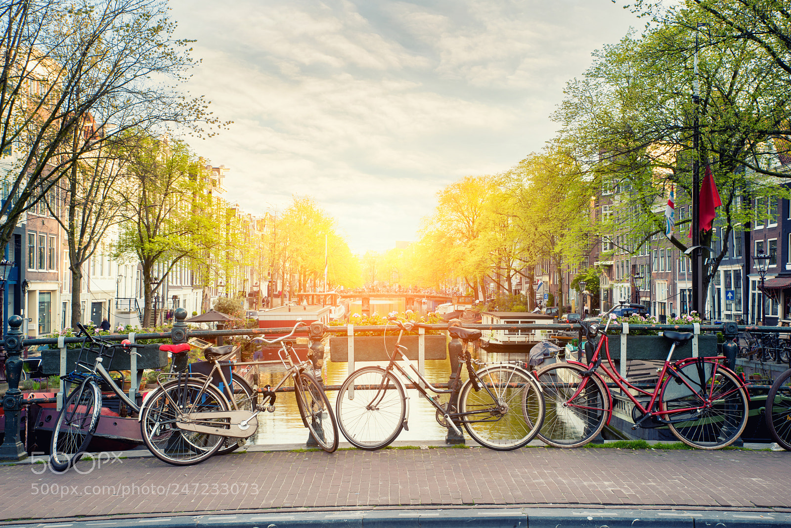 Nikon D800 sample photo. Bicycle on the bridge photography