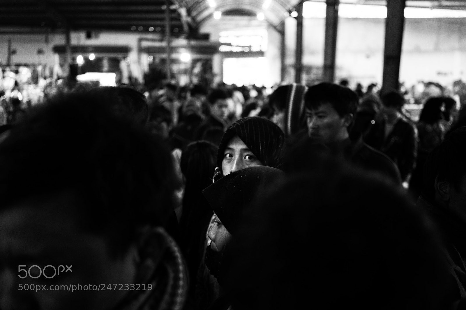 Sony a7R II sample photo. Whisper photography