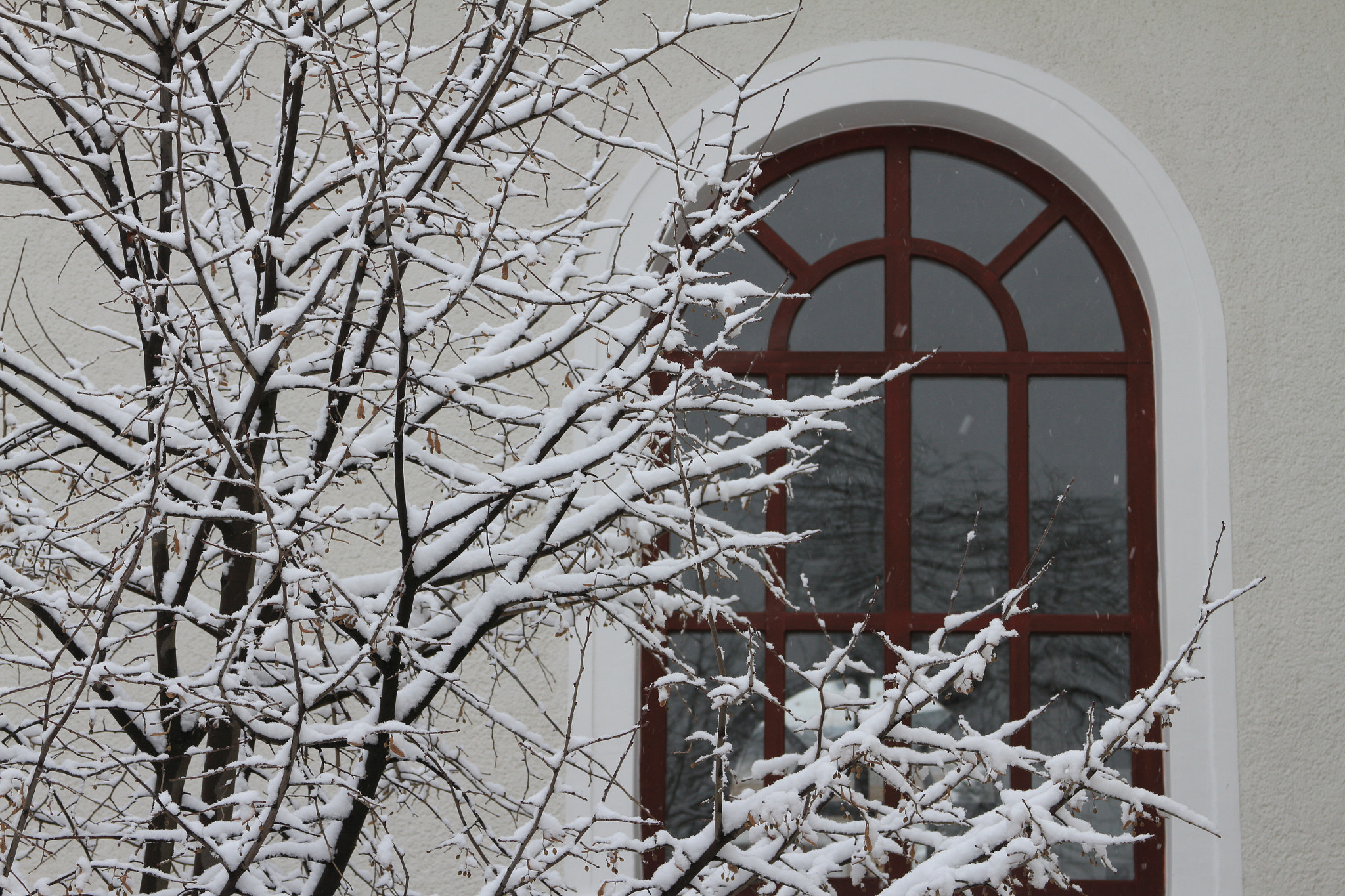 Canon EF 28-135mm F3.5-5.6 IS USM sample photo. Winter time photography