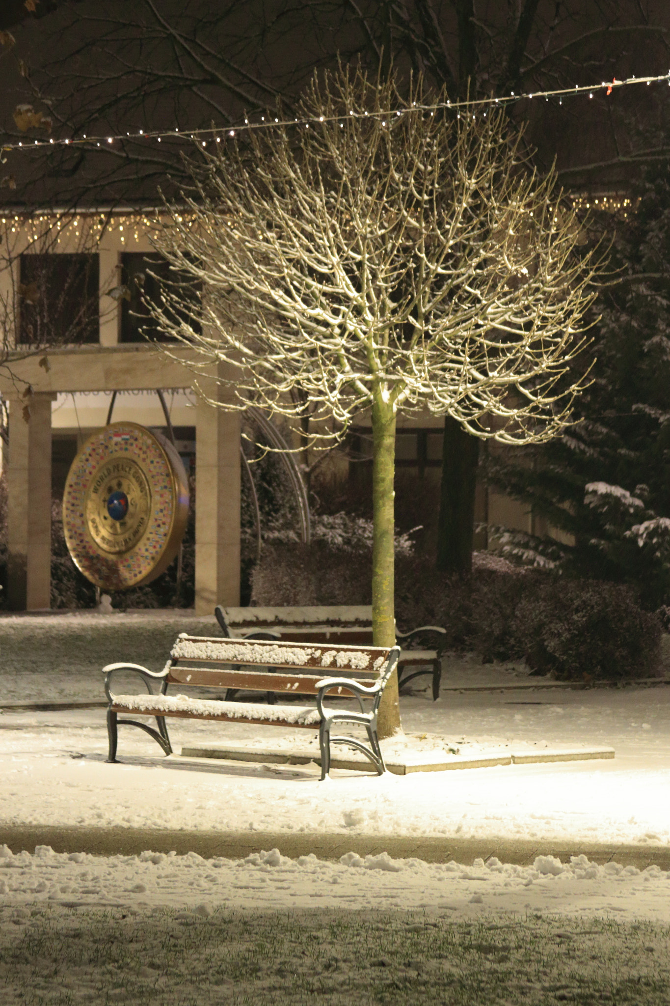 Canon EOS 7D + Canon EF 28-135mm F3.5-5.6 IS USM sample photo. Winter bench photography