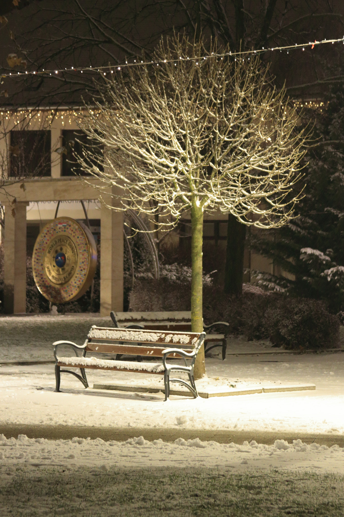 Canon EF 28-135mm F3.5-5.6 IS USM sample photo. Winter bench photography