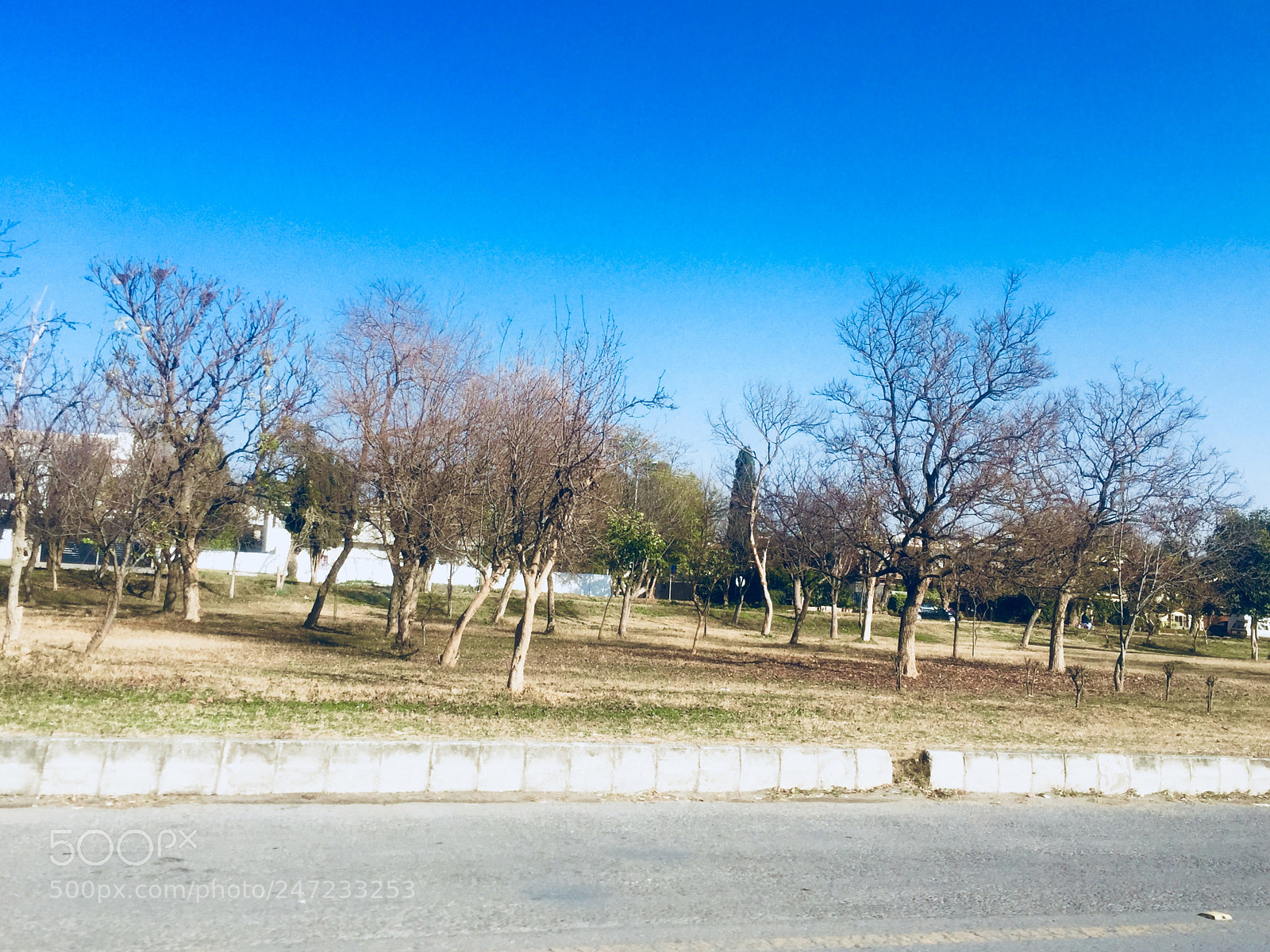 Apple iPhone 6 sample photo. Untitled photography
