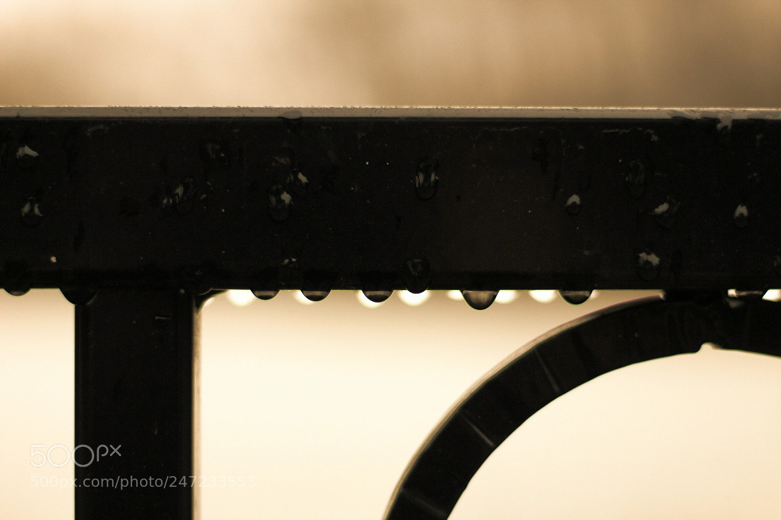 Canon EOS 1300D (EOS Rebel T6 / EOS Kiss X80) sample photo. Rain drops, high park photography