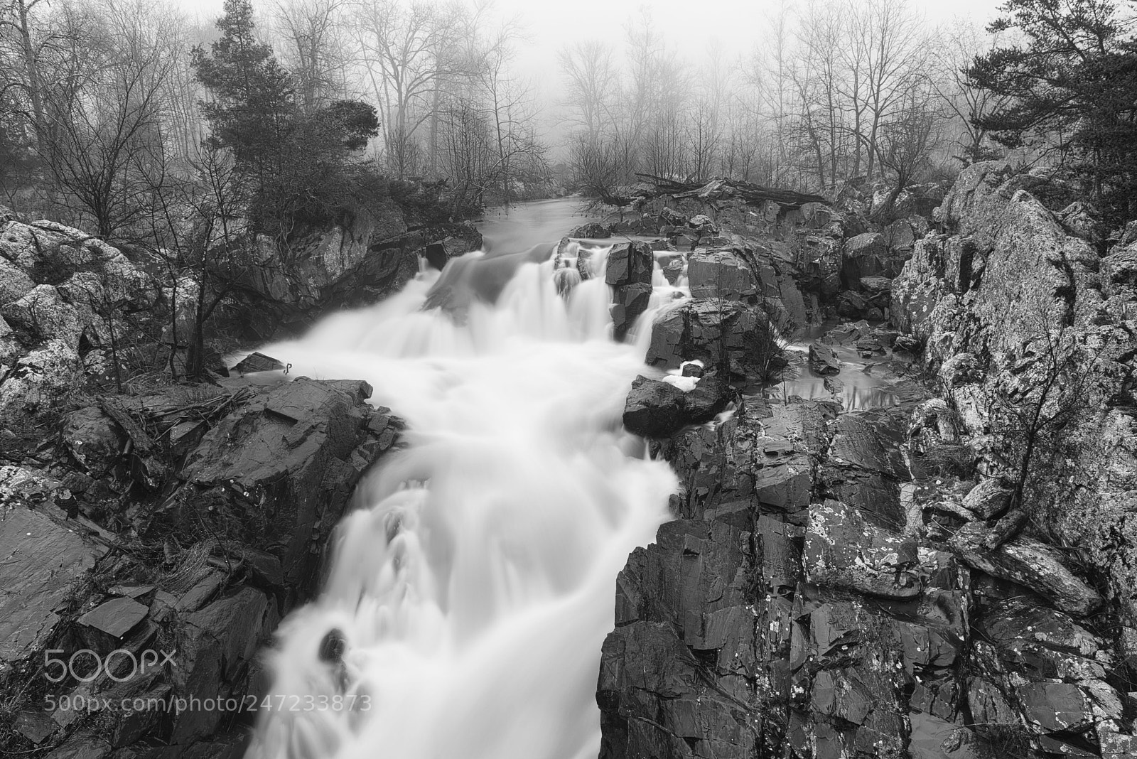 Nikon D800 sample photo. Morning fog 32 photography