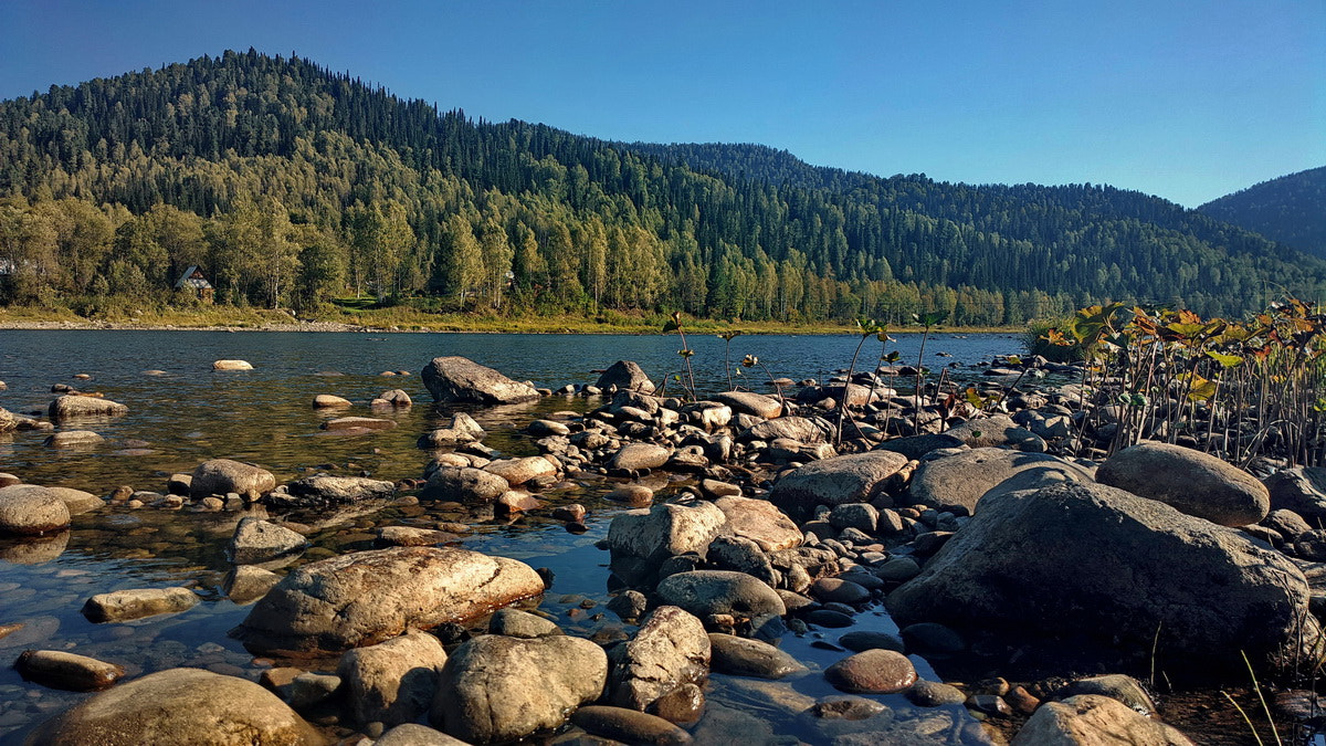 Nokia 808 PureView sample photo. Russia. the south of western siberia. later summer on the land of the taiga river. photography