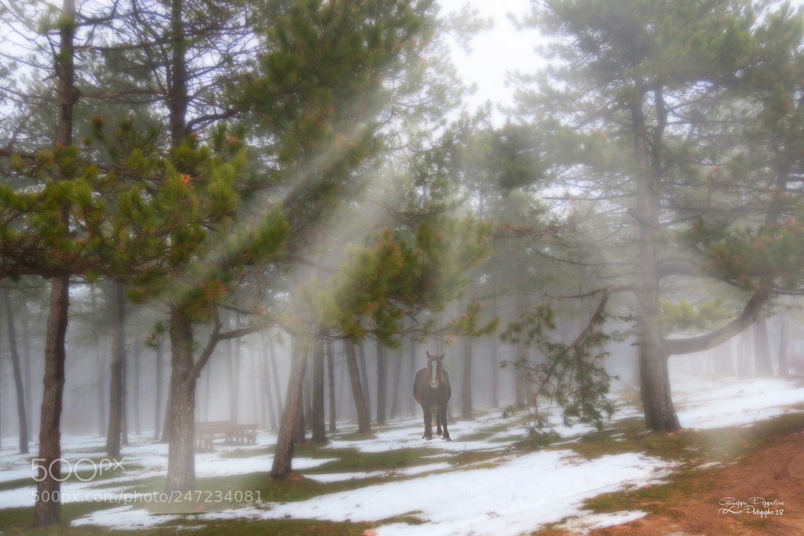 Canon PowerShot G3 X sample photo. Rays of light photography