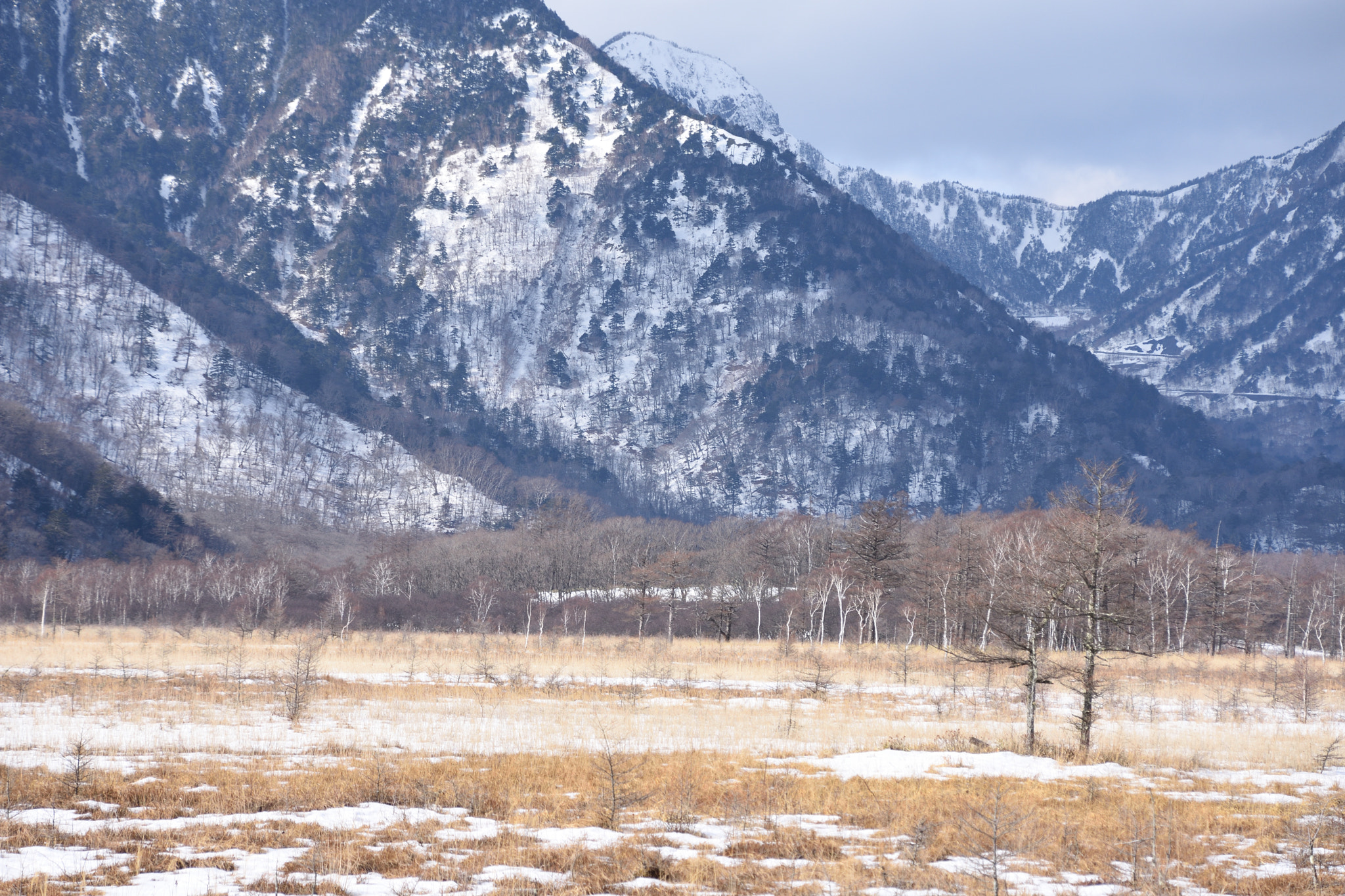 Nikon D7200 sample photo. 戦場ヶ原 photography